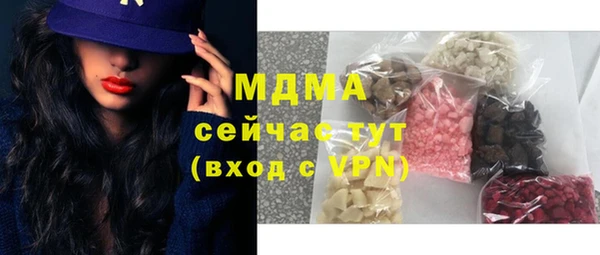 индика Михайлов