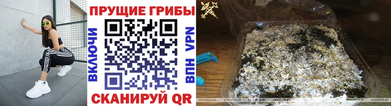 Галлюциногенные грибы Cubensis  гидра зеркало  Покров 